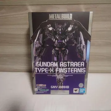 METAL BUILD 건담 아스트레아 TYPE-X 핀스터니스