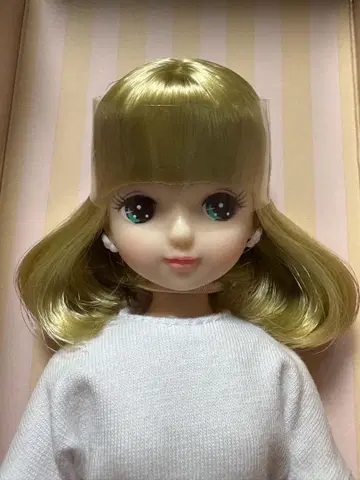 리카짱 캐슬 2023년 고베 산노미야 BASIC 모델 키라짱 V2