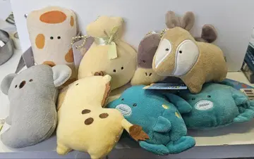 초롱초롱 눈망울 봉제인형 키링 세트