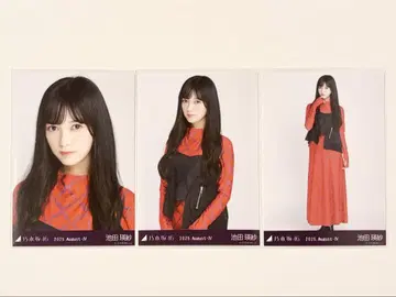 비대칭 이케다 테레사 컴프