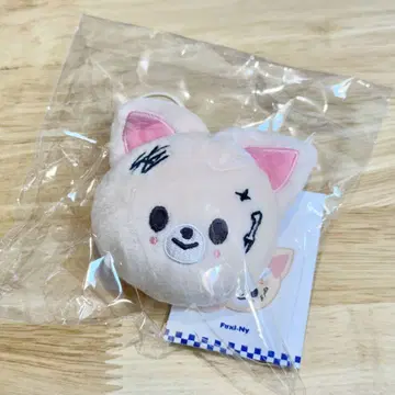 Stray Kids KARMA popup 폭시니 foxI.Ny