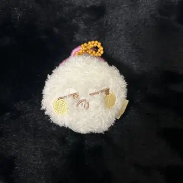 nct dream 지성 팬라이트 인형 키링 앙콘