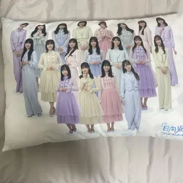사카미치 시리즈 아이돌 쿠션 커버