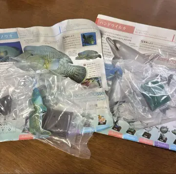 네이처 테크니컬러 해양I 안경모치노우오 핸돌고래 나폴레옹