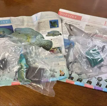 네이처 테크니컬러 해양I 안경모치노우오 핸돌고래 나폴레옹