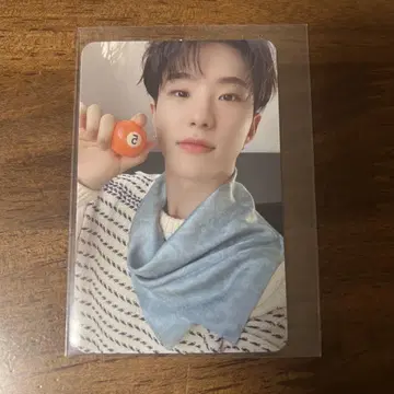 SEVENTEEN your choice 호시 트레이딩 카드