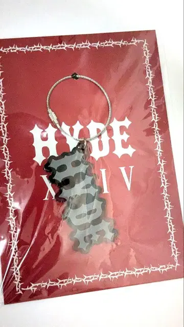 HYDE 하이드 시크릿 아크릴 키링 아크링 키링