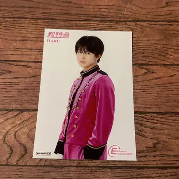 EBiDAN museum 입장 혜택 브로마이드 하루