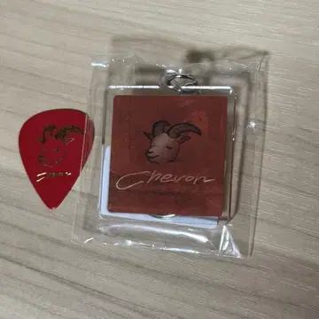Chevon 피크 키링 세트