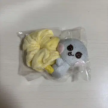 RIIZE 은석 손연등 스크런치