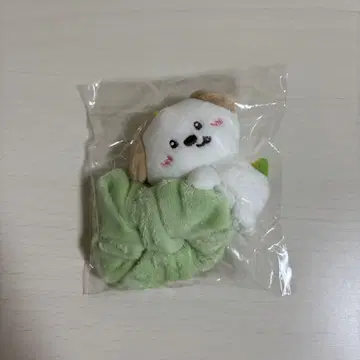 RIIZE 앤톤 몽룡이 스크런치