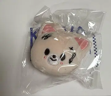 Straykids KARMA POPUP skzoo 네임택 폭시니