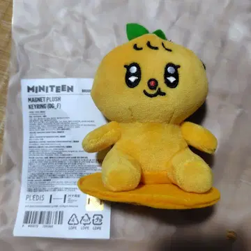 MINITEEN 키링