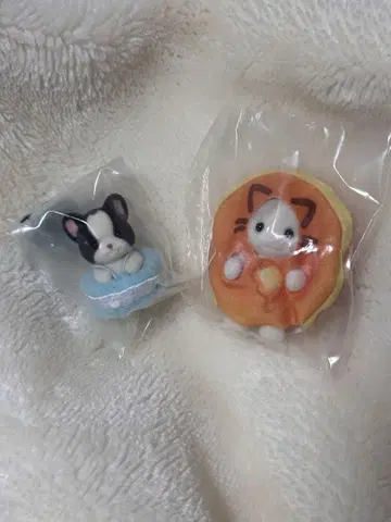 반짝반짝 복권 G상 프렌치 불독 아기 강아지와 라떼 고양이 아기