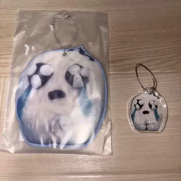 아노 짱 팬클럽 한정판