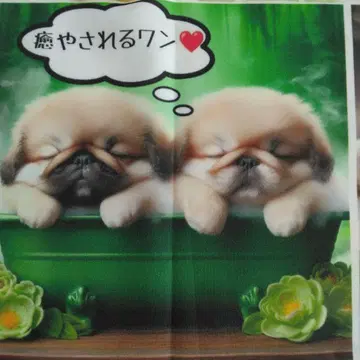 오더 접수