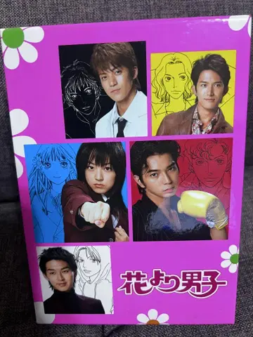 꽃보다 남자 DVD