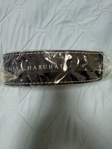 하루하타 미치야 기타 스트랩 기타 YOUNG GUITAR