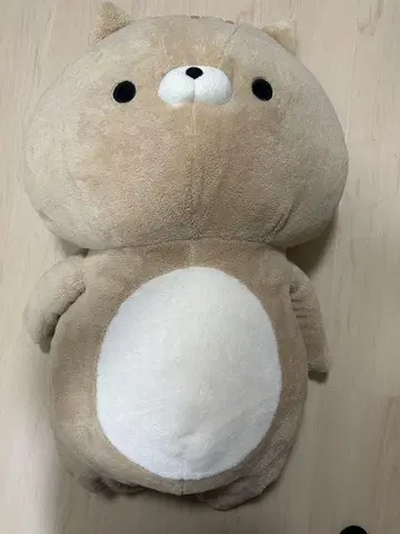 베이지색 고양이 봉제 인형