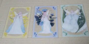 꽃 메테 팝업스토어 클리어 카드 ~스텔라 드레스 컬렉션~ 3종
