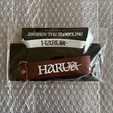 &TEAM 하루아 스틱 데코 세트