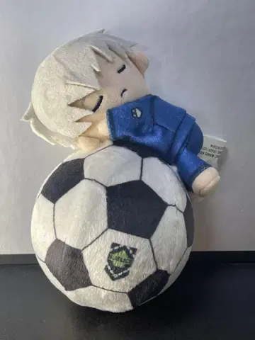 블루 록 축구공 스퀴즈 나기 세이시로
