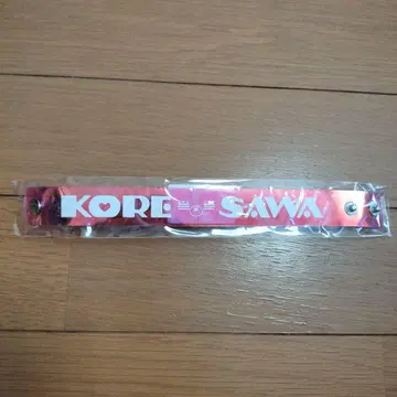 코레사와 레코 짱 오로라 밴드