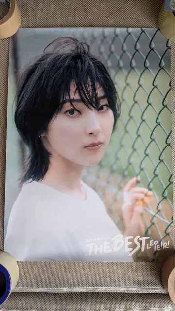 이에이리 레오 포스터 B3 사이즈