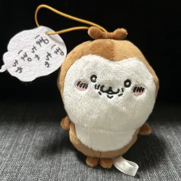 치이카와 치이카부 대사 포함 마스코트 장수풍뎅이
