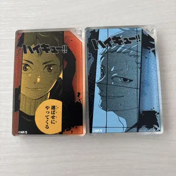 도미노풍 아크릴 키링 컬렉션