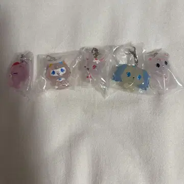 주얼펫 메지루시 액세서리 컴프 세트