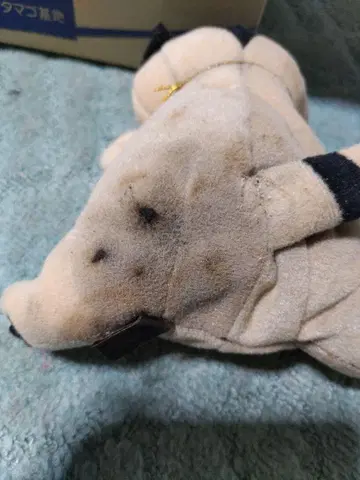 베이지색 강아지 봉제 인형