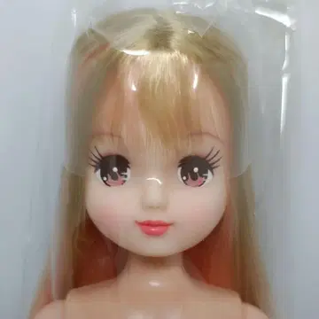 아키짱 2 오타노시미 인형 리카짱 캐슬 22cm 리카짱