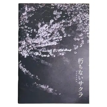 영화 [ 사쿠라] 팜플렛