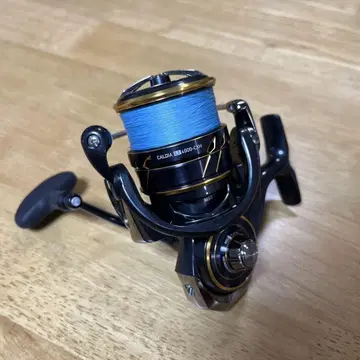 DAIWA CALDIA LT4000-CXH