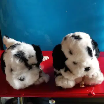 TAKENOKO 달마시안