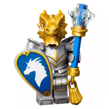 [미사용] 71047 DUNGEON & DRAGONS 드래곤본 팔라딘
