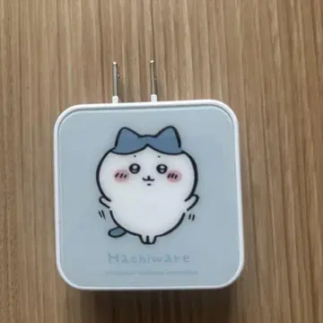 하치와레 AC 어댑터