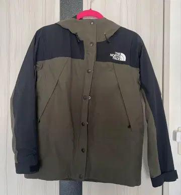 THE NORTH FACE 마운틴 후드티