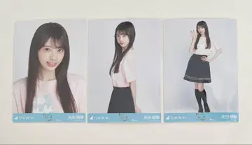 노기자카46 브로마이드 야다 모에카 카가와 라이브 T셔츠 3종 컴프