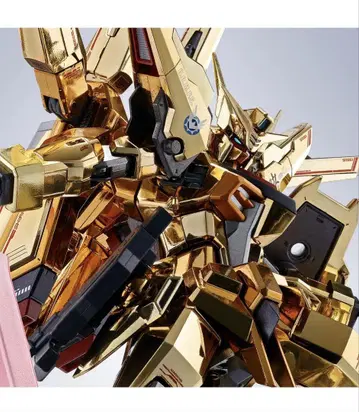 METAL ROBOT혼 아카츠키 SEED FREEDOM Ver.