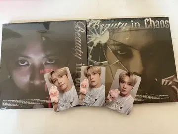 제중 Beauty in chaos 2매 and 트레이딩 카드 3장