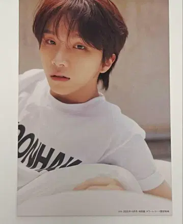 보네크도 보이네크 운학 엽서 vivi