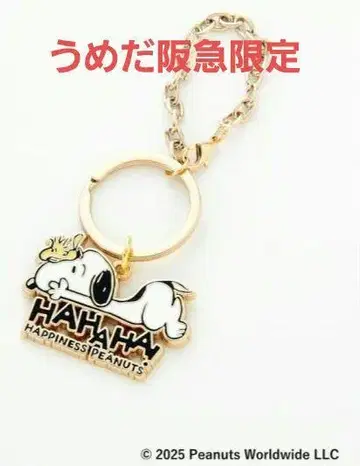 우메다 한큐 한정 스누피 페스티벌 메탈 키링