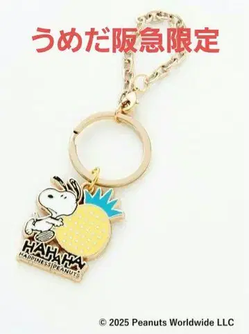 우메다 한큐 한정 스누피 페스티벌 2025 메탈 키링