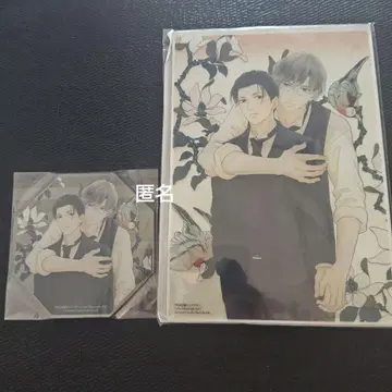 메이지 종속 텅스텐 아크릴