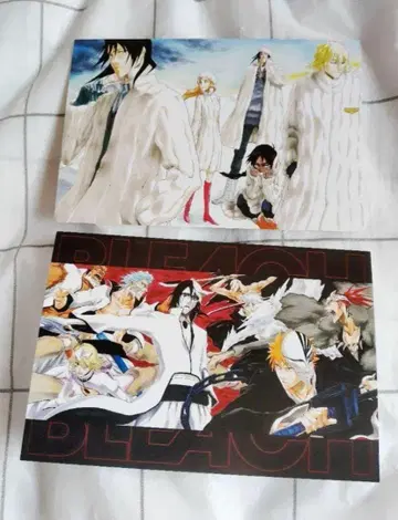 BLEACH 엽서 2매 세트 우라하라 키스케 쿠치키 바쿠야 우르키오라