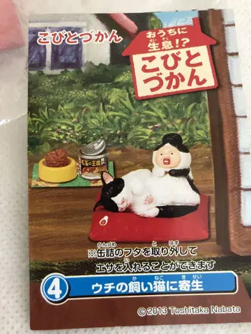 코비토 도감