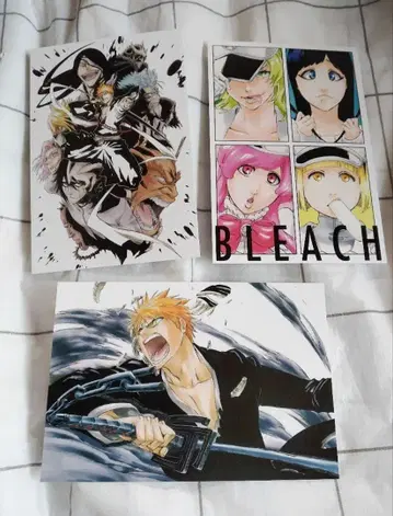 BLEACH 엽서 3매 세트 쿠로사키 이치고, 우르키오라, 노이트라