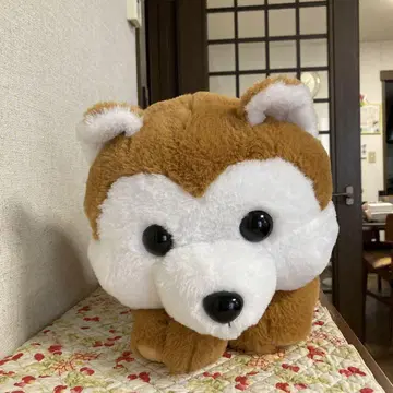 시바견 봉제 인형